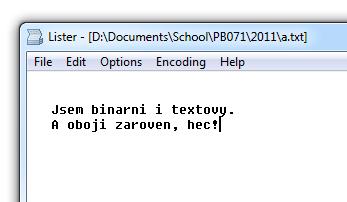 Binární