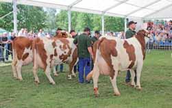 Obsah Máte slovo Ceny mléka................................................. 5 Aktuálně Sledování citlivosti k ATB u veterinárně významných patogenů..................... 6 16 31 Plemeno měsíce Starokladrubský kůň.