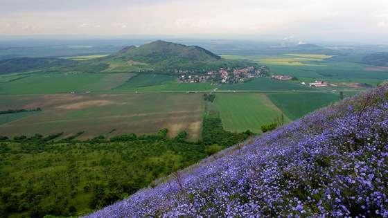 Není