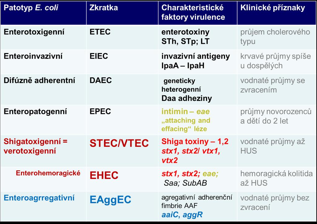 Metody na principu PCR Sledování faktorů virulence Escherichia coli - detekce stx1a, stx2a, stx2c, stx2d - detekce genů eae, aaic, aggr, popř.