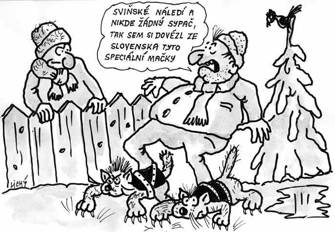 14 PRO ZÁBAVU Pondělí 19. února 2018 Fše pro zdraví Dva pohledy Uživatél: Vypnúl sa ně počítač, volám administrátora.
