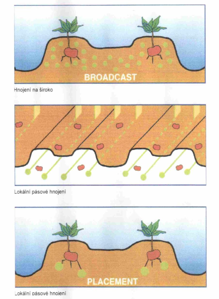 Lokální aplikace minerálních hnojiv při sázení Umístění minerálního hnojiva do blízkosti sadbových hlíz při sázení Zvýšení koncentrace