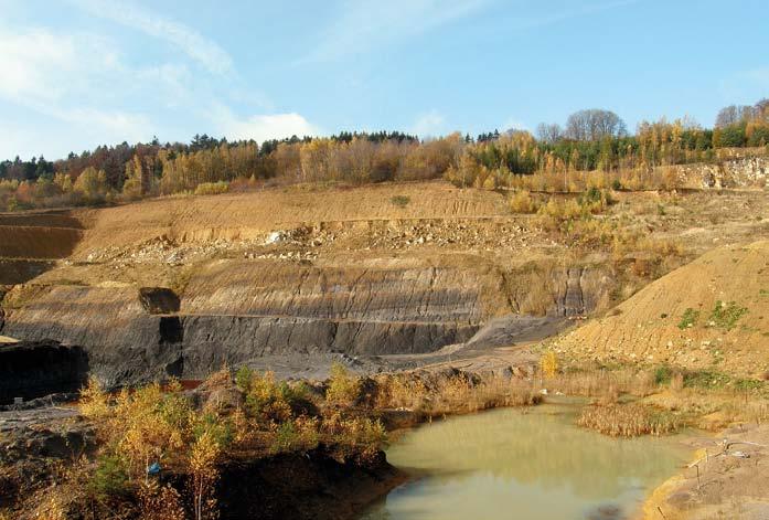 Ve spodních etážích je odkryto perucko-korycanské souvrství (tmavé žáruvzdorné jílovce a korycanské vrstvy) a v nejvyšších dvou