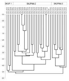 Subbotina gortanii (Borsetti) Subbotina hagni (Gohrbandt) Subbotina hornibrooki (Brönnimann) Subbotina linaperta (Finlay) Subbotina patagonica (T. et K.) Subbotina roesnaesensis O. et B.