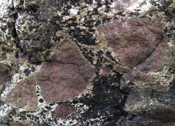 Skarn s žilou kontaminovaného amfibolického pegmatitu o mocnosti 5 cm, lokalita Vevčice u