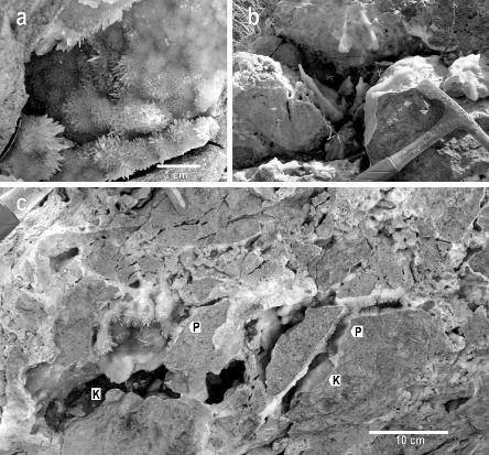 Legend: 1 Letovice Crystalline Complex; 2 Permian sediments of the Boskovice Graben; 3 Peruc-Korycany Formation quartzose sandstones, siltstones, claystones, glauconitic sandstones (Cenomanian); 4