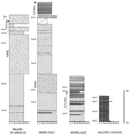 stratigraficky zařazena do subzóny Goβ spi v blízkosti spodní hranice hradecko-kyjovického souvrství (Kumpera 1976; Lehotský 2008).