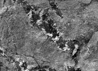 i ostatní tělesa skarnů (Kordula, Rešice, Litovany, Slatina a Višňové) a pyroxenických rul.