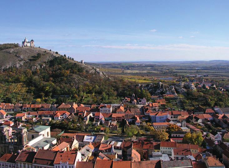 Příroda Jihozápadní úpatí Svatého kopečku a Olivetská hora před úpravami (foto Milada Rigasová) stepí.