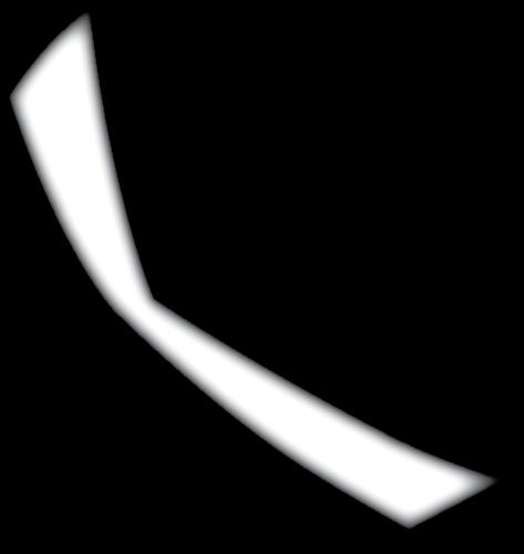 Holík.