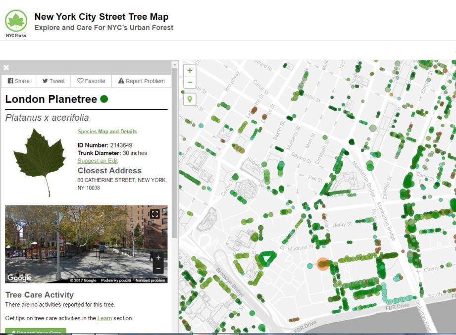 Interaktivní mapa stromů města New