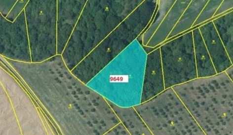 3) Zemědělský pozemek o velikosti 2 864 m² Lokalita: Kobylí Nabídková cena: 39 000,- Kč Upravená nabídková cena: 14,- Kč/m 2 Popis: Jedná se o