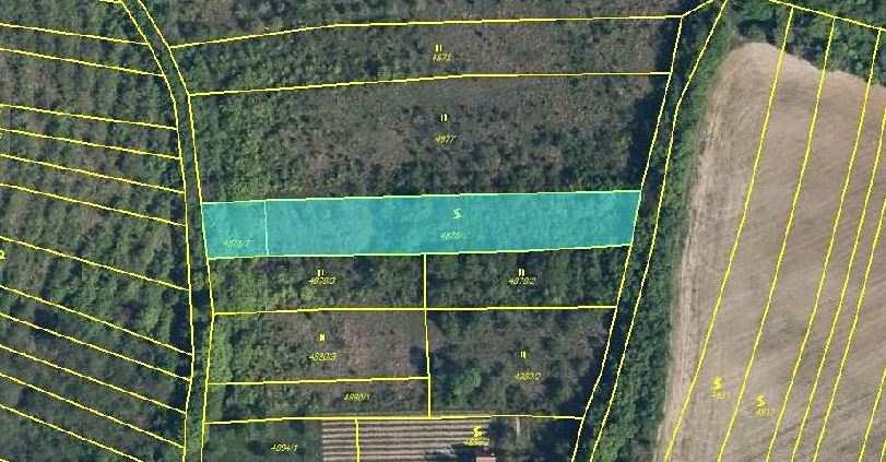 7) Zemědělské pozemky o celkové velikosti 1 534 m² Lokalita: Archlebov Nabídková cena: 26 000,- Kč Upravená nabídková cena: 17,- Kč/m 2 Popis: Jedná se o zemědělsky