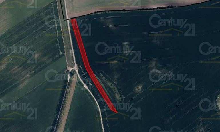 cz 10) Zemědělský pozemek o velikosti 4 005 m² Lokalita: Šardice Nabídková cena: 80 100,- Kč Upravená nabídková cena: 20,- Kč/m 2 Popis: Jedná se zemědělsky využívaný