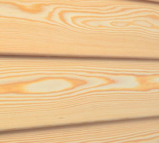 Vedle intenzity povětrnostních vlivů závisí její životnost na druhu dřeva. Barevná úprava dřevěné fasády se dá realizovat pouze za pomoci ochranného nátěru.