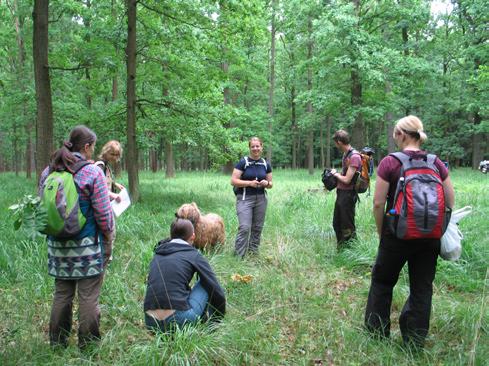 Obr. 2. Účastníci kurzu na exkurzi za Kopidlnem Fig. 2. Participants of the floristic summer school on the excursion near Kopidlno (Foto/Photo V. Samková, 7. 6. 2012) Obr. 3.