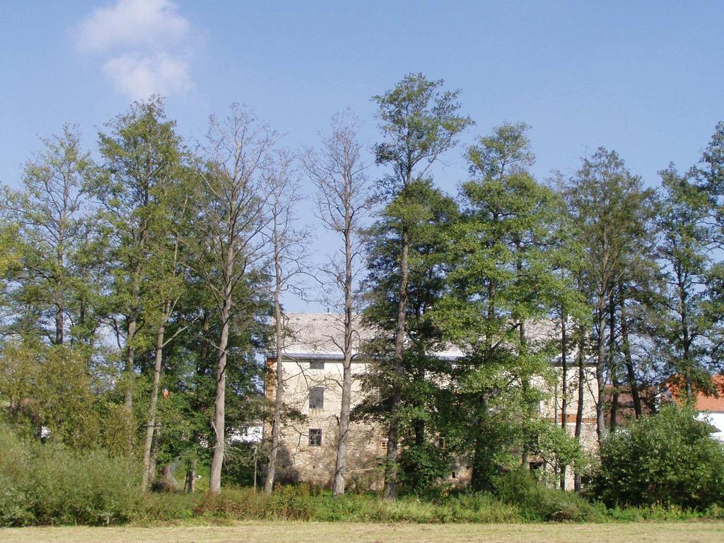Porost je tak složen ze skupin nemocných či odumřelých stromů a skupin stromů v počátečním stupni napadení a ze stromů opticky zdravých (obr. 3, 4, 5).
