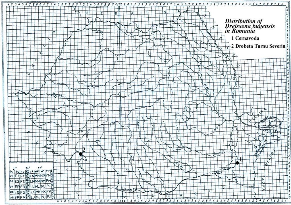 I., THERRIAULT T. W. & MACISAAC H. J., 2004: Range expansion of quagga mussels Dreissena rostriformis bugensis in the Volga River and Caspian Sea basin. Aquatic Ecology 38: 561 573. ZHULIDOV V. A., ZHULIDOV D.