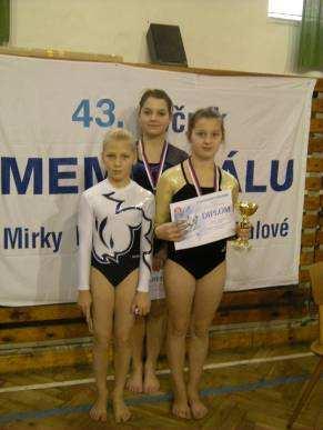 prosince 2009 za přítomnosti zástupce města, některých sponzorů a hlavně rodičů malých hráčů a dalších příznivců házené.