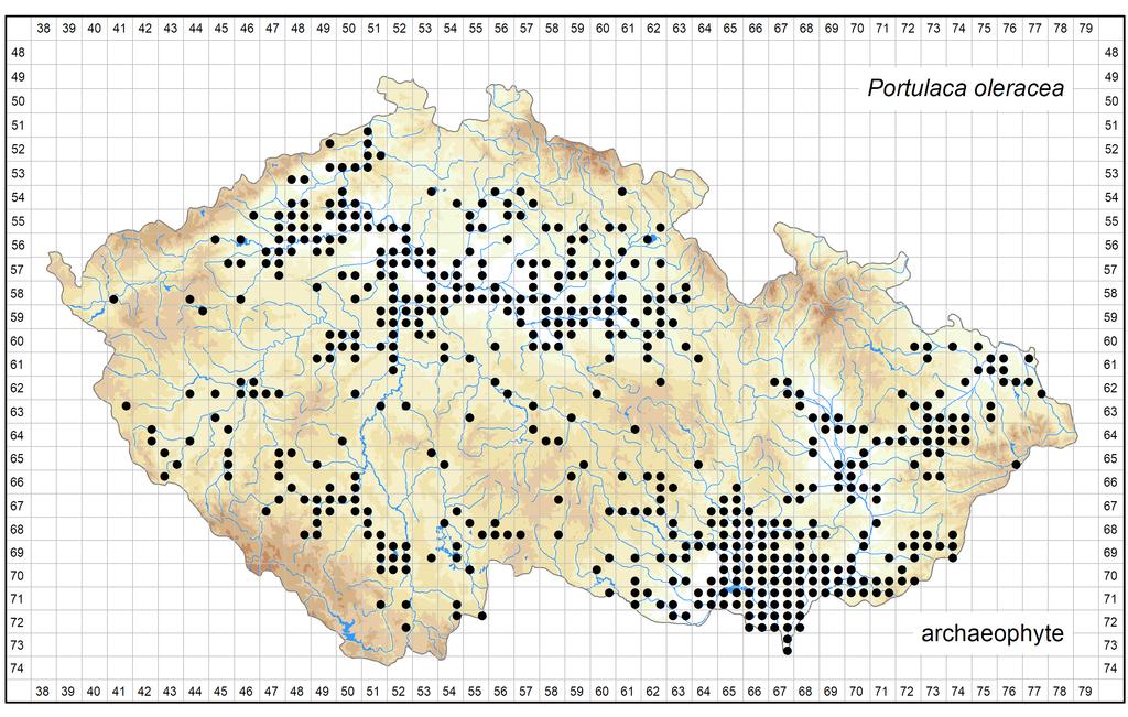 Distribution of Portulaca oleracea in the Czech Republic Author of the map: Michal Ducháček Map produced on: 15-10-2017 Database records used for producing the distribution map of Portulaca oleracea