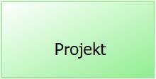 Řídící procesní oblasti a procesy řídí organizaci, definují pravidla fungování procesů a jsou spojené s definováním cílů a zajištěním jejich realizace.