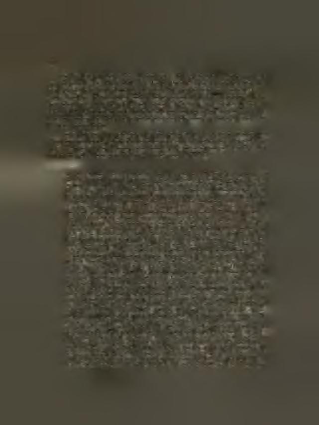 1495-1533) v domě po předcích zděděném provozoval živnost konvařskou, měv však také nějaký čas huť svou v klášteře P. Marie Sněžné.