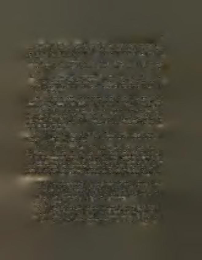 Co se týče zvonů M.