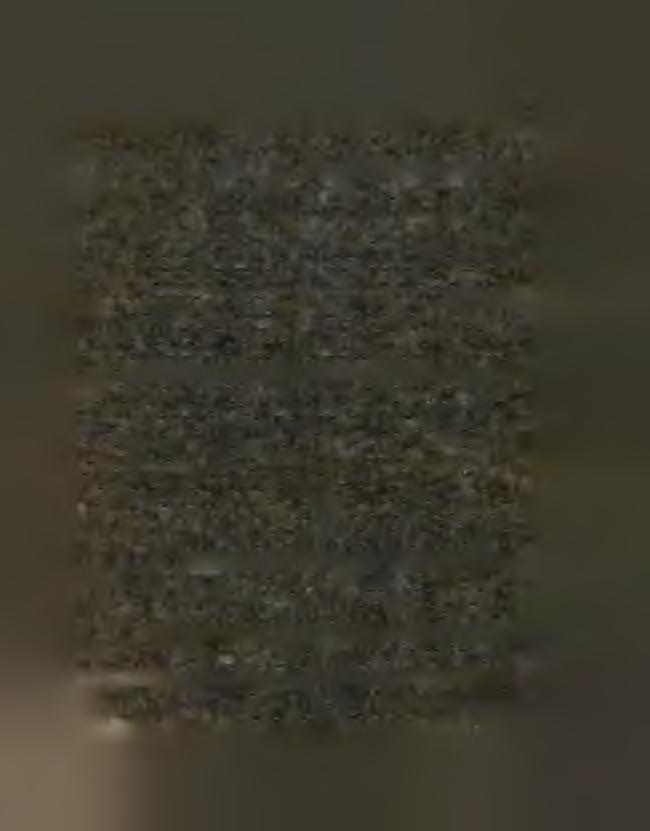 do kostela děk. v Slaném;*) a 8. Petr Konvař Pražan, který taktéž na začátku stol. XVI.
