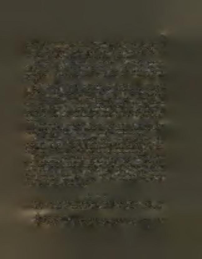 skrovnýeh dát u věci té vyhledati.