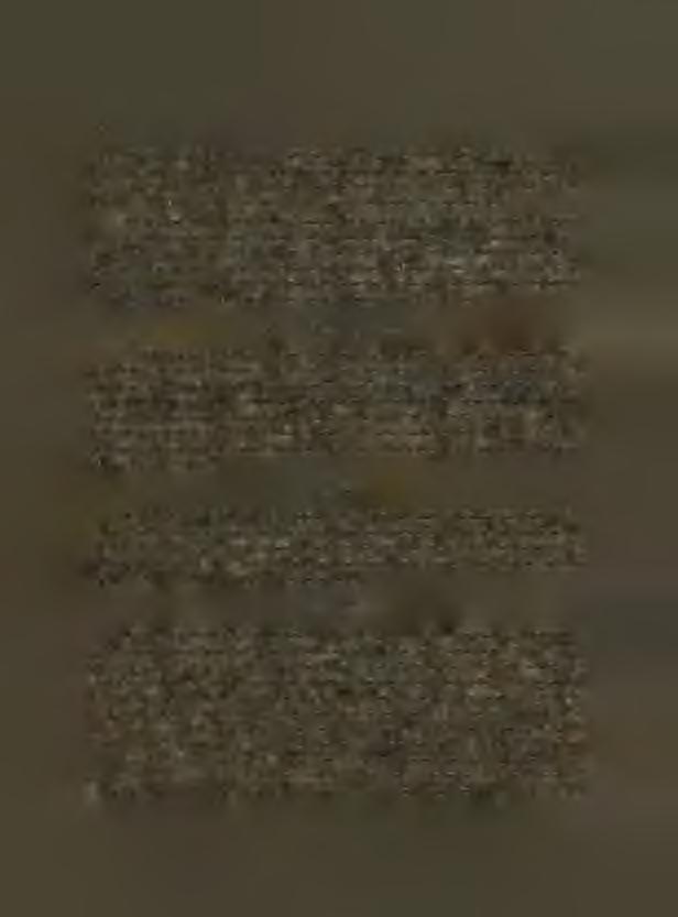 Po Martinovi Schrotterovi držel v poslední čtvrti století XVII.