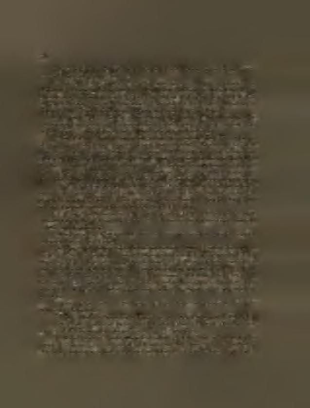 1743 tolikéž v Brně zvon prostřední. Tamtéž měl huť zvonařskou Libor Martinu, rodič z Poličky, který r. 1779 slil krásný zvon veliký na věž děk. chrámu P. v Litomyšli. V Olomouci slil r. 1550 M.