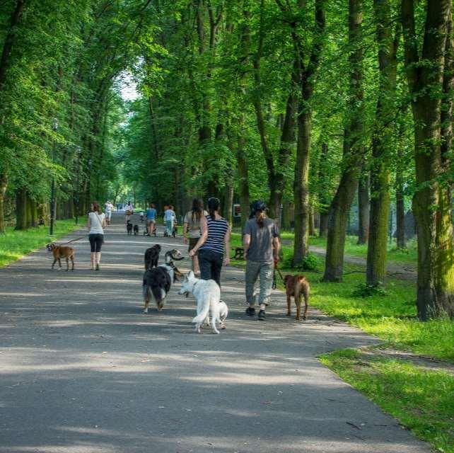 Magistrát města Ostravy 61 Odbor ochrany životního prostředí Číslo VKP v evidenci Rok registrace Název Charakter území Městský obvod 132 2000 Údolí u bývalé vlečky k dolu Oskar porost dřevin, vodní