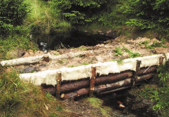 V roce 1979 byly Krušné hory vyhlášeny jako Chráněná oblast přirozené akumulace vod. Stavba dřevěných přehrážek, které postupně zatarasí umělé drenážky a zadrží vodu.