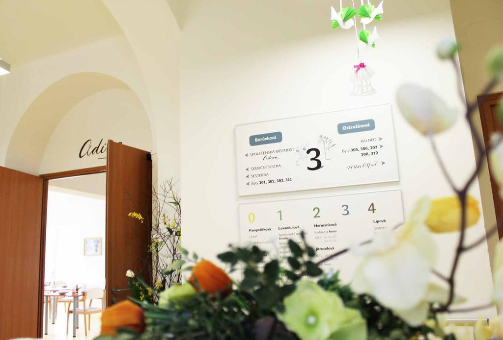 Organizační struktura Zaměstnanci Ředitel Zaměstnanci počty zaměstnanců prům. přep. stav 29 počet prac.