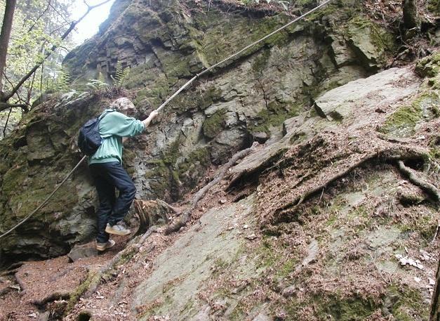 Plocha povodí měří 236,9 km². Řeka pramení 1 km západně od Rokytna v nadmořské výšce 724,99 m. Přímo v Novém Městě na Moravě protéká několika rybníky.