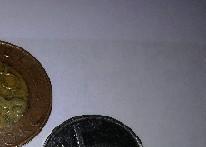 chráněného bydlení pomohou zajistit.