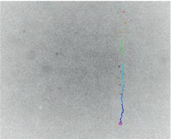 Řešit přitom museli poměrně zásadní protichůdné parametry: částice na tomto povrchu musela držet a neutéct z něj, zároveň však ne příliš pevně, aby s ní bylo možné pohybovat.
