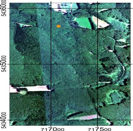 Mapa výskytu fluorescenčního signálu ve