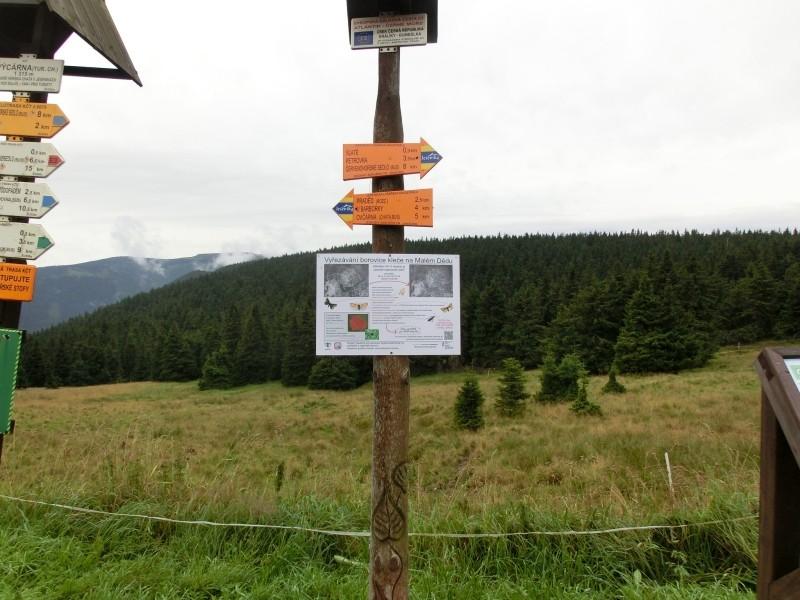 3.2. Péče o druh Není navrhováno konkrétní opatření týkající se vlastní péče o druh. 3.3. Monitoring Od roku 2009 probíhá pravidelný monitoring horských okáčů rodu Erebia Entomologickým ústavem AV ČR.