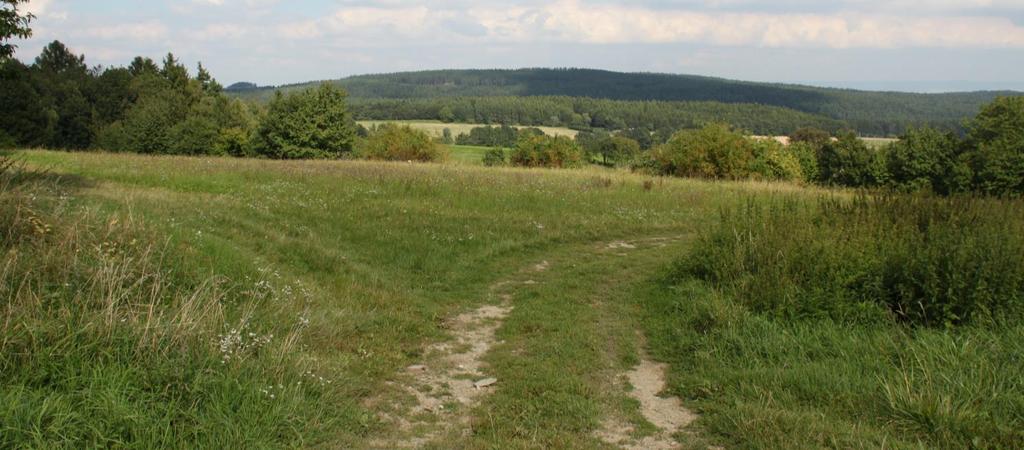 VÝROČNÍ ZPRÁVA MÍSTNÍ AKČNÍ SKUPINY REGION HANÁ, Z.S. ZA ROK 2016 2016 místní akční skupina R e g i o n H A N Á, z.