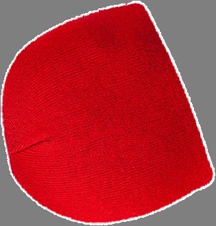 Zimní
