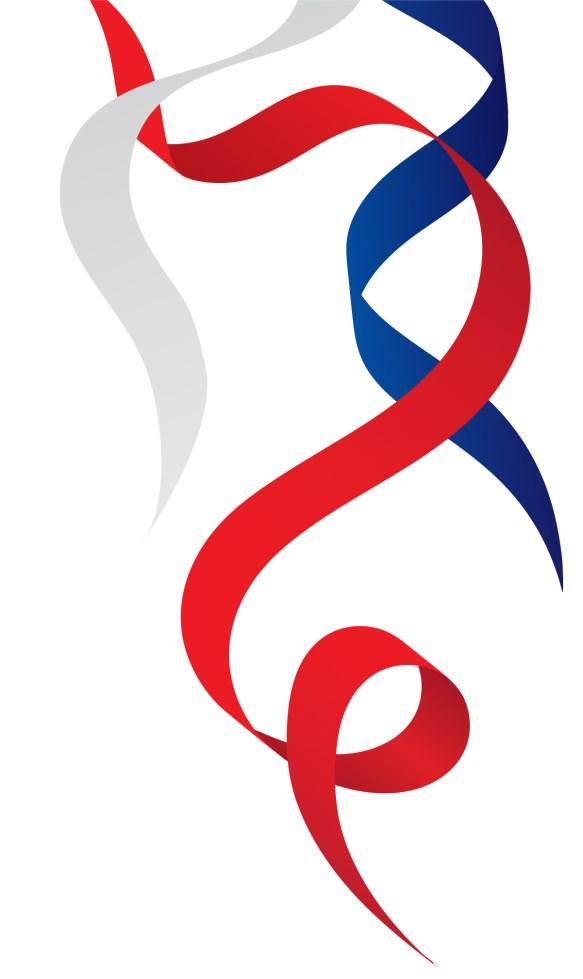 spojen s oslavami 100. výročí založení samostatné Československé republiky. Odkaz významného jubilea se nesl celým sletovým programem a vtiskl sokolskému svátku punc sounáležitosti a vlastenectví.