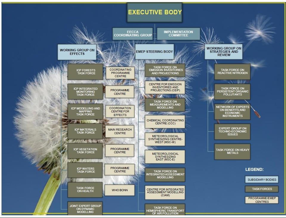 Intergovernmental bodies, expert groups