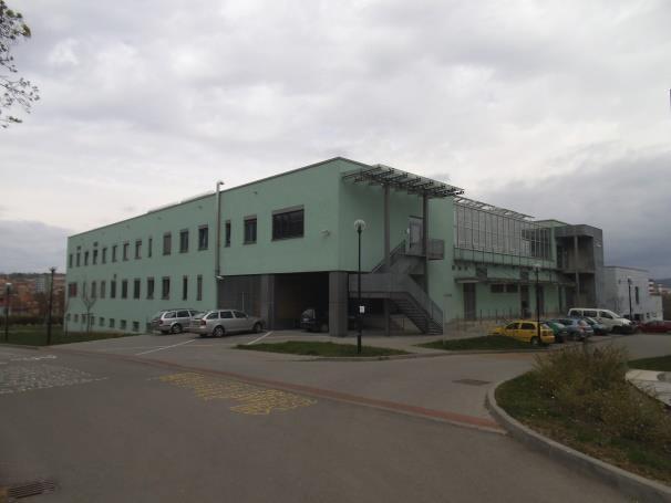 B  6