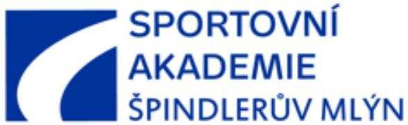 Sportovní akademie Špindlerův Mlýn [] 25 0 5 NESVADBA Vincent 2013 SOVE ROLLSKI VYSOKÉ N./JIZ.