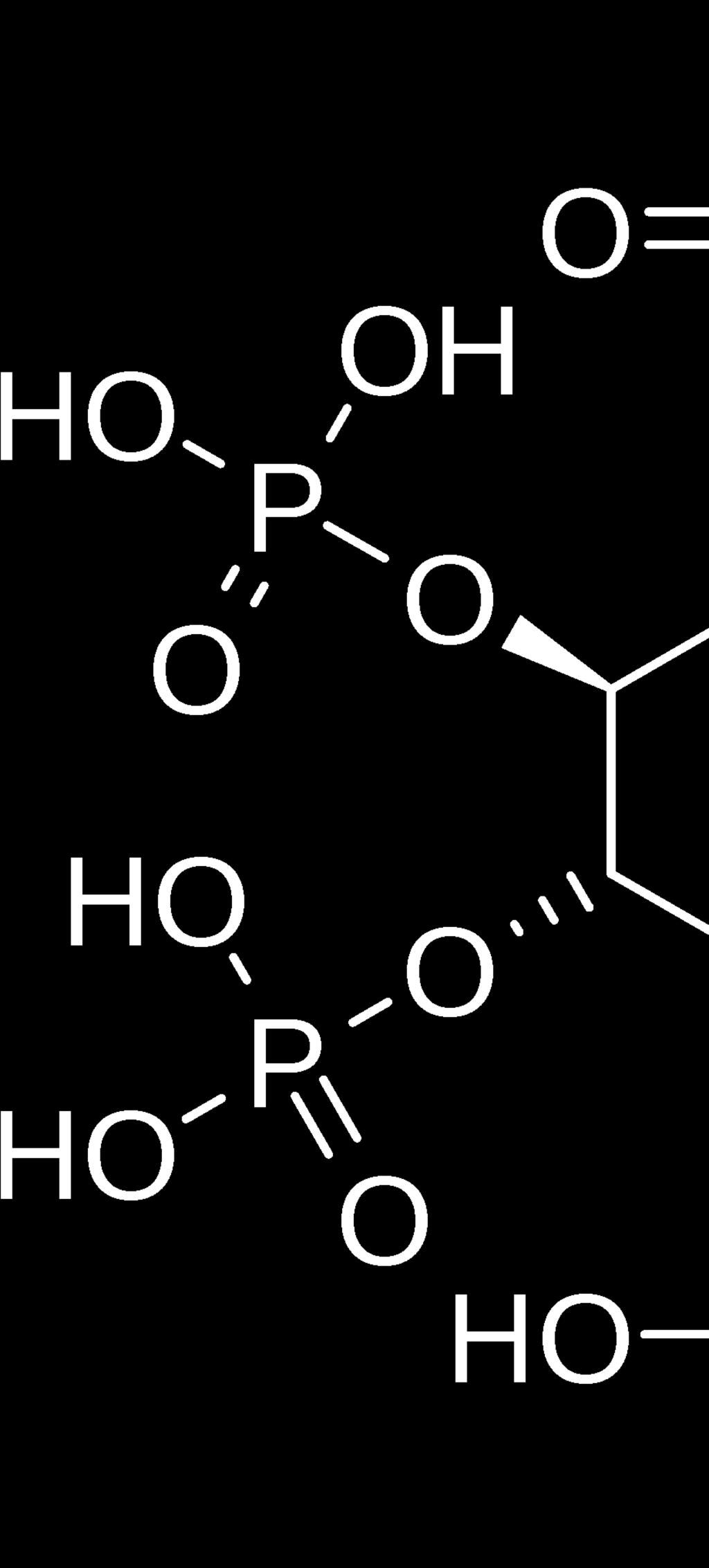 PPR (ph, pepsin, rychlost): OptiPhos má ideální profil ph, je rezistentní vůči pepsinu a působí
