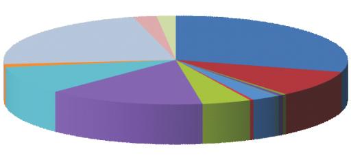 právnických osob 10,06% Pøíspìvek zøizovatele 14,79% MÈ Praha 20 4,59% MÈ Praha 19 0,35% MÈ Praha 14 2,38% MÈ Praha 1 0,35% MÈ Praha 3 0,50% MÈ Praha 7 0,28% MÈ Praha 9
