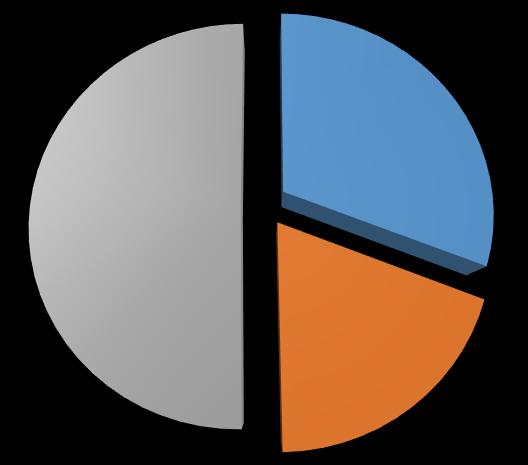 podpory 50% 19% 31% dávky pro osoby se zdravotním