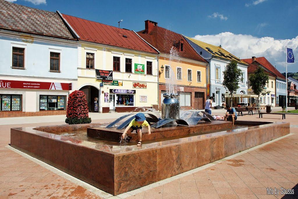 B. Dolný Kubín (nem. Unterkubin) je okresné mesto na Slovensku ležiace v Žilinskom kraji. Mesto leží na Dolnej Orave, v údolí rovnomennej rieky, v južnej časti Oravskej vrchoviny.