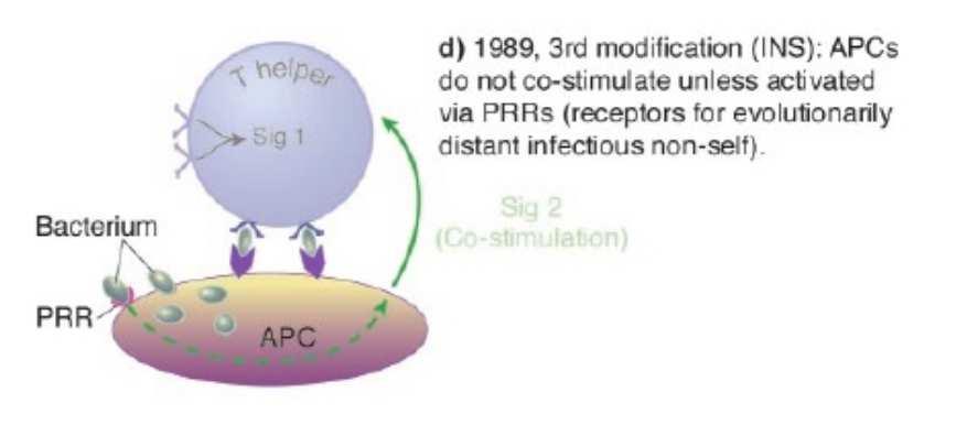 INS infectious nonself model APC rozpoznávání PAMPs cestou PRR quiescent versus activated infectious-nonself versus noninfectious-self Janeway and Schwartz SNS/INS model Trvají problémy: jak viry